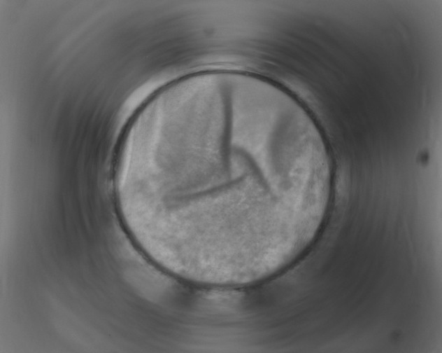 X0000116631466200912312149