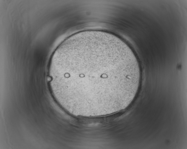 X0000116631467200912312149