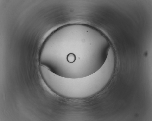 X0000116631468200912312149