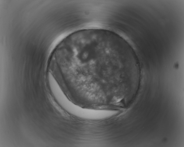 X0000116631469200912312149