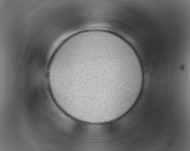 X0000116631470200912312149