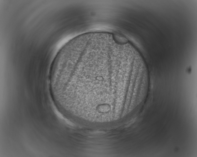 X0000116631471200912312149