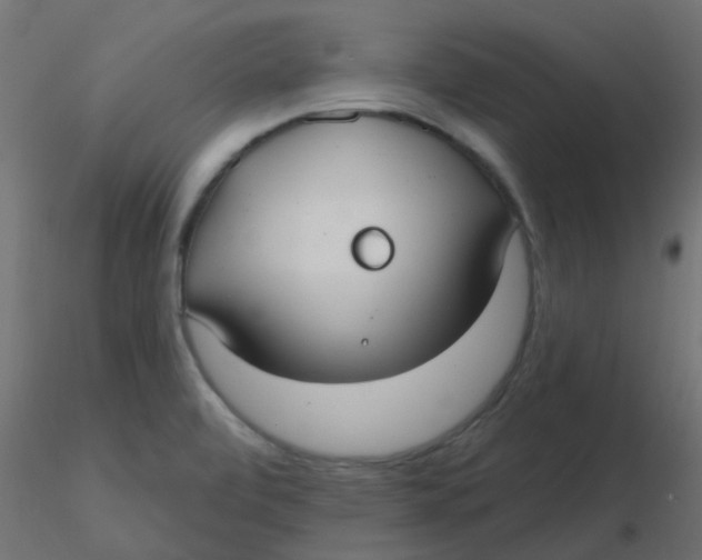 X0000116631472200912312149