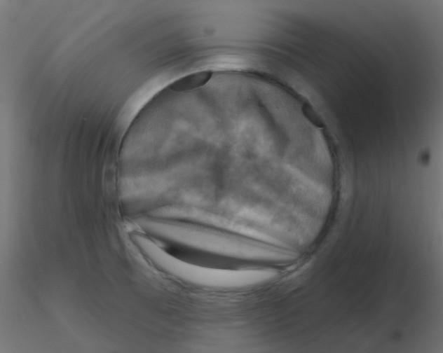 X0000116631473200912312149