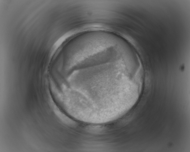 X0000116631474200912312149