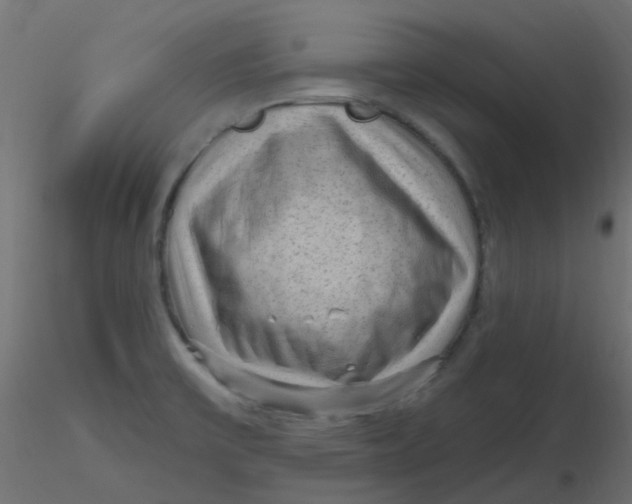 X0000116631475200912312149