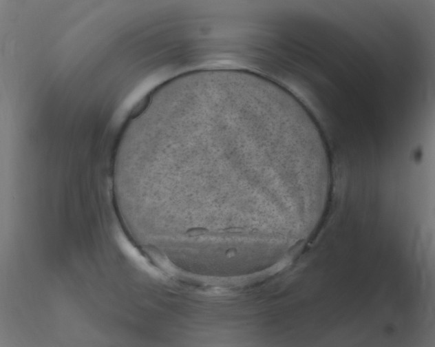 X0000116631476200912312149