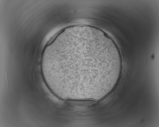 X0000116631477200912312149