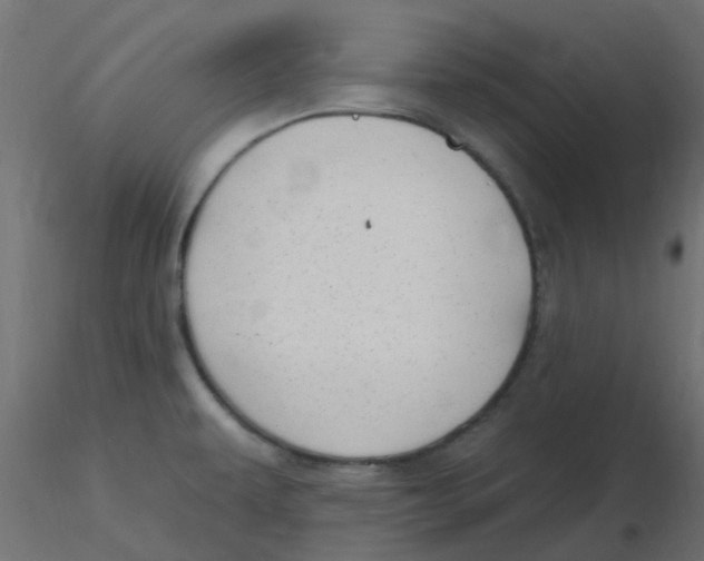 X0000116631479200912312149