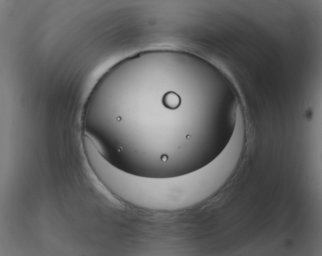 X0000116631480200912312149