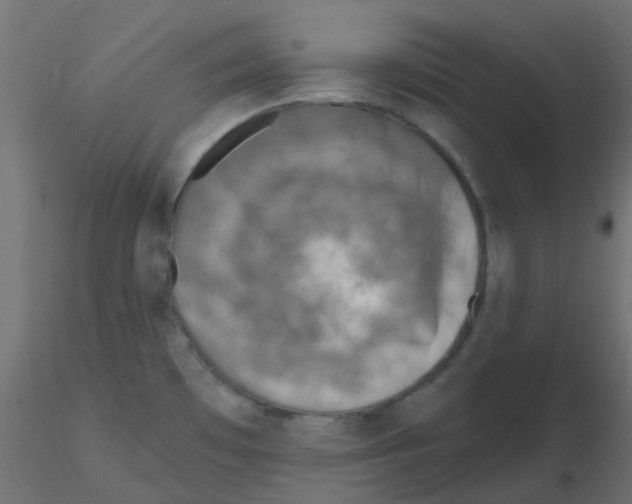 X0000116631481200912312149