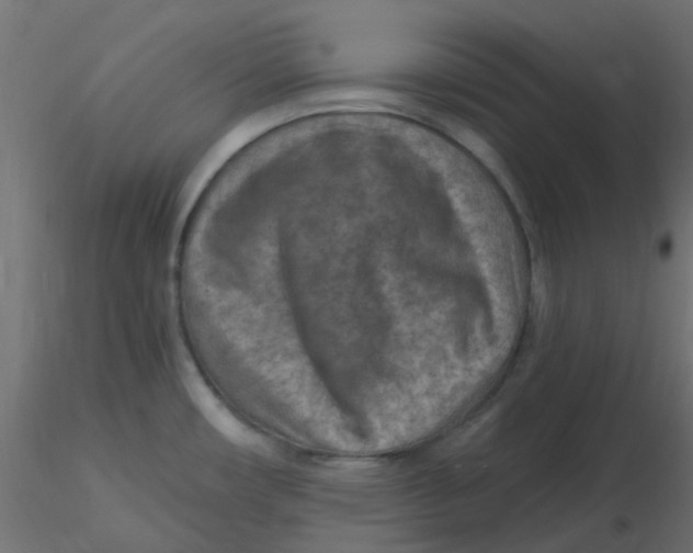 X0000116631482200912312149