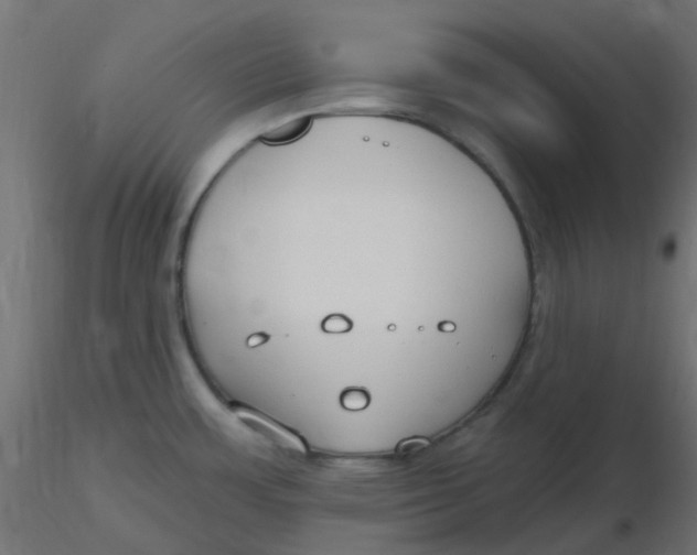 X0000116631483200912312149