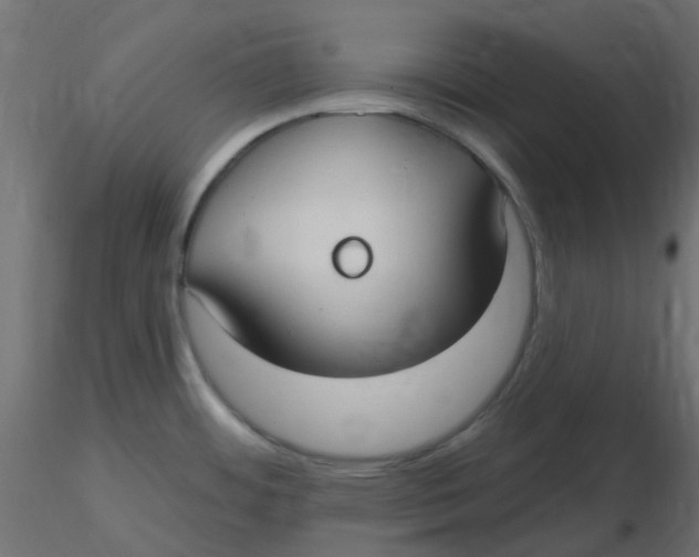 X0000116631484200912312149