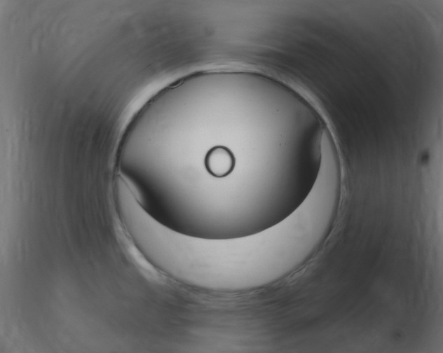 X0000116631485200912312149