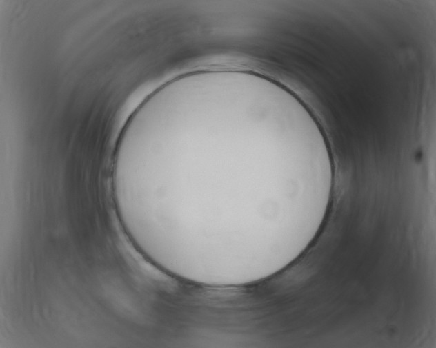 X0000116631486200912312149