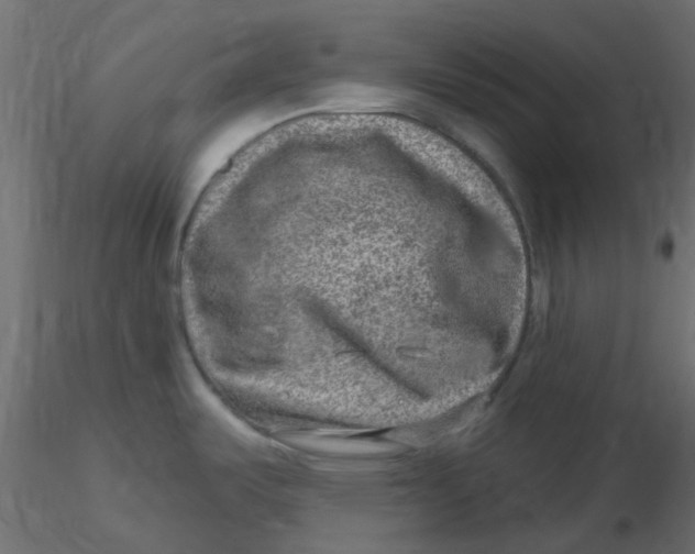 X0000116631487200912312149