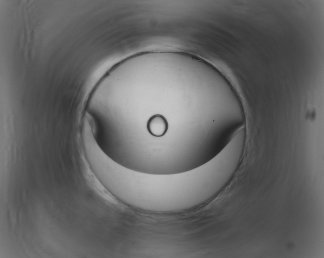 X0000116631488200912312149