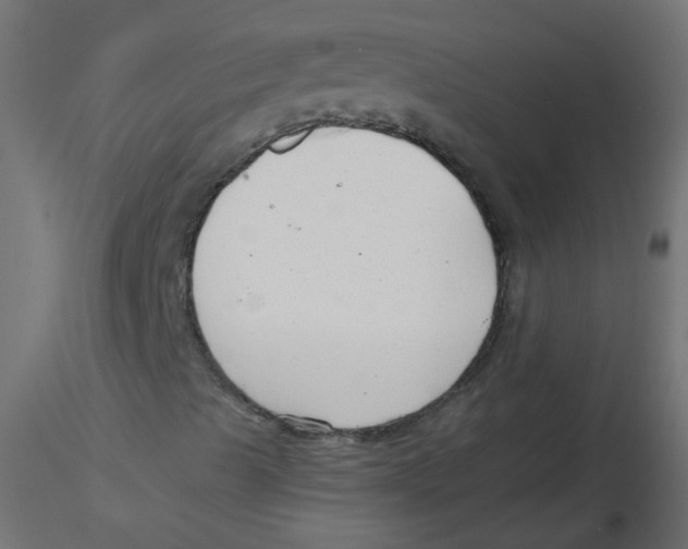 X0000116631489200912312148