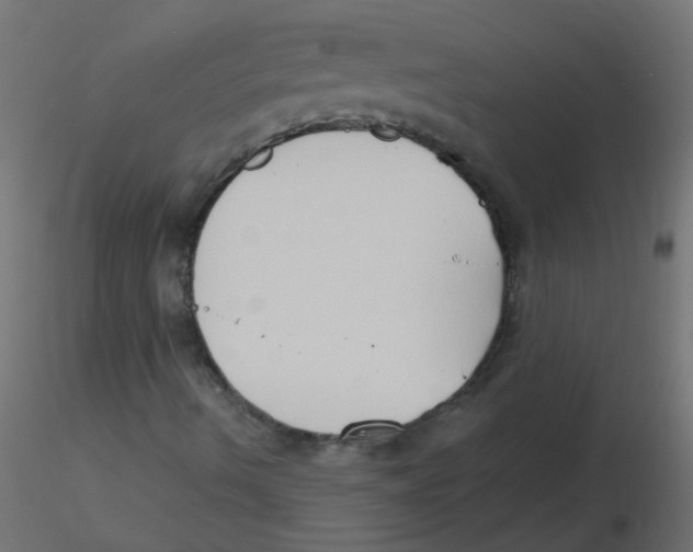 X0000116631490200912312148