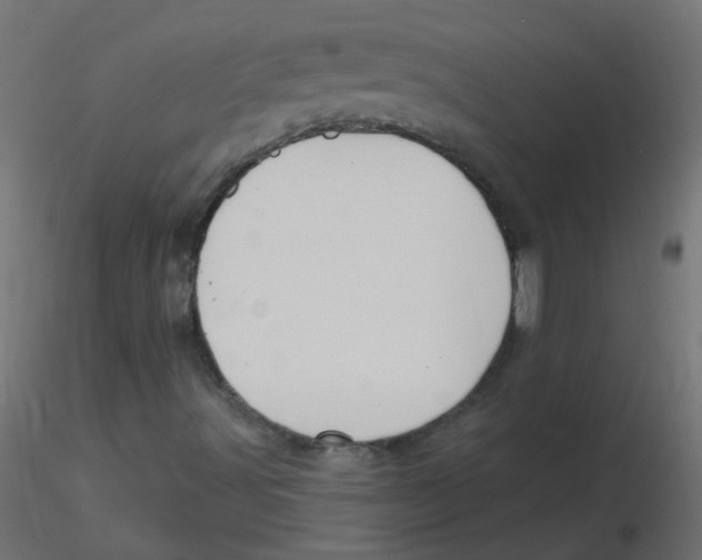 X0000116631491200912312148