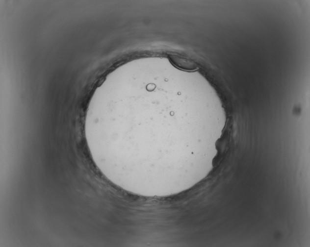 X0000116631493200912312149