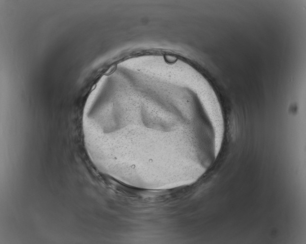 X0000116631494200912312149