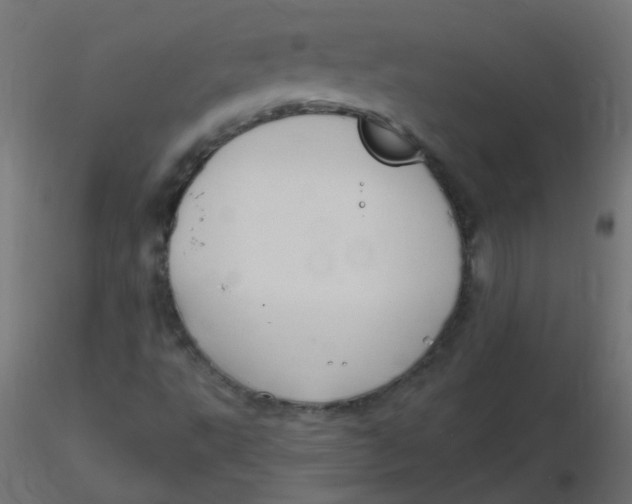 X0000116631495200912312149