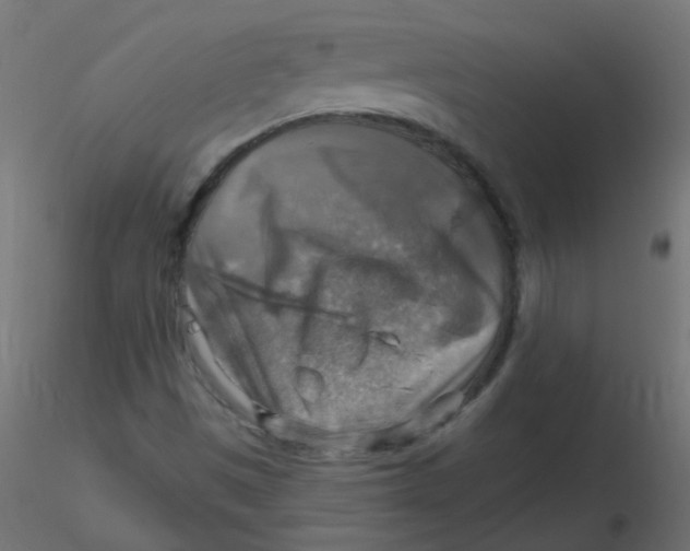 X0000116631497200912312149