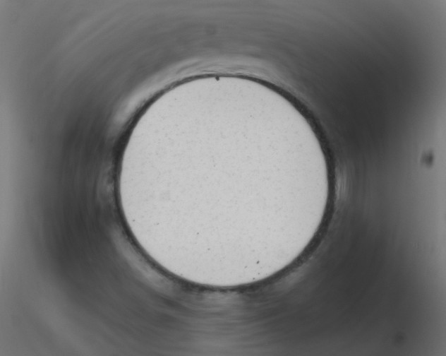 X0000116631498200912312149