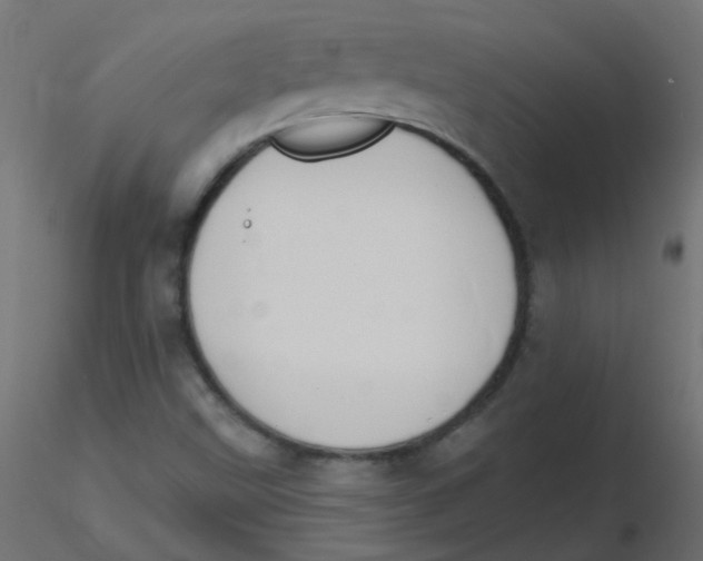 X0000116631499200912312149