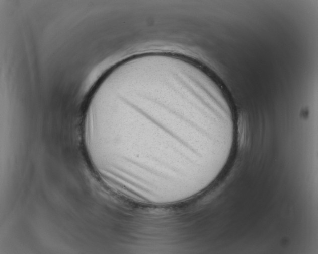 X0000116631501200912312149