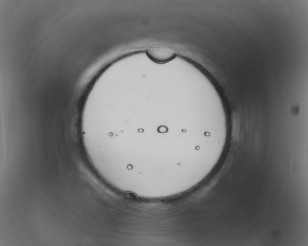 X0000116631502200912312149