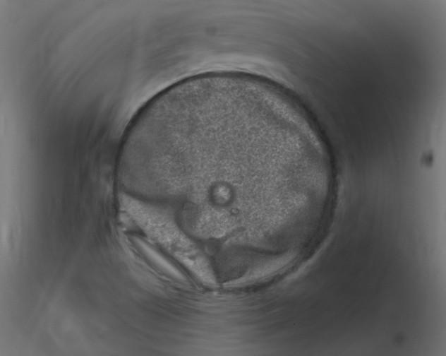 X0000116631505200912312149