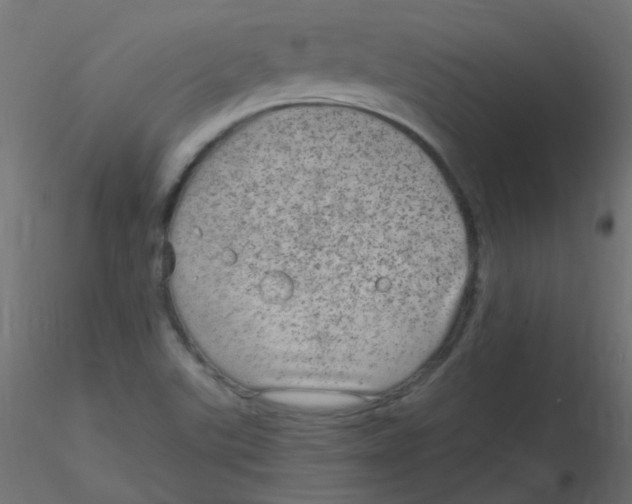 X0000116631507200912312149