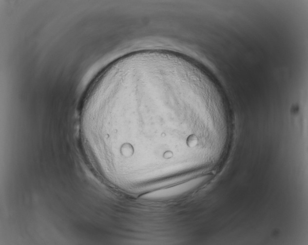 X0000116631509200912312149