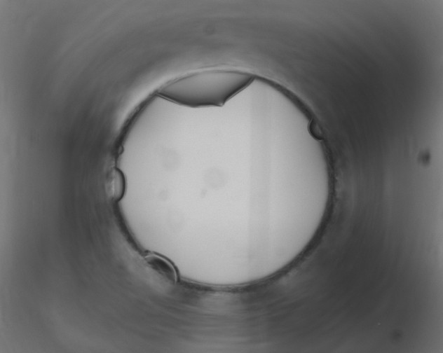 X0000116631510200912312149