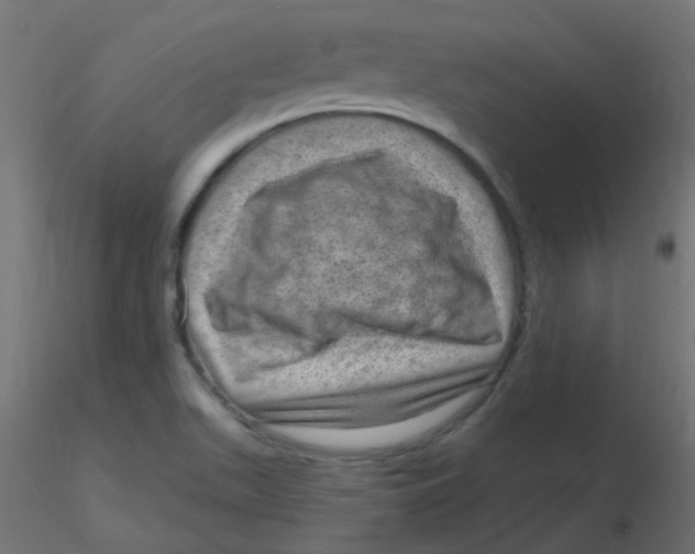 X0000116631511200912312149