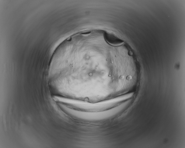 X0000116631513200912312149