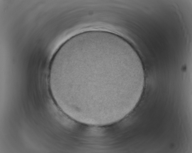 X0000116631514200912312149