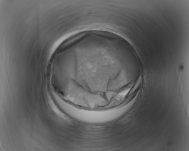 X0000116631515200912312149