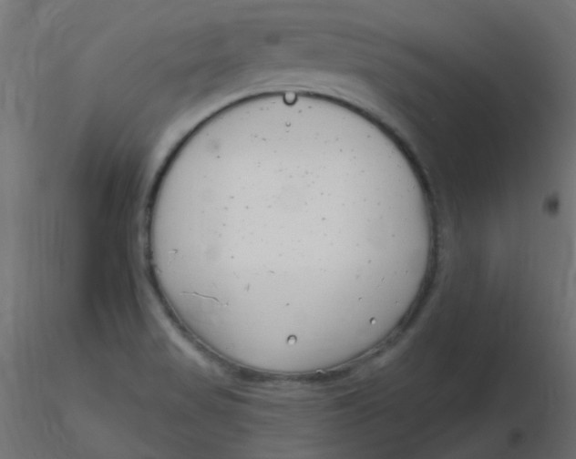 X0000116631517200912312149