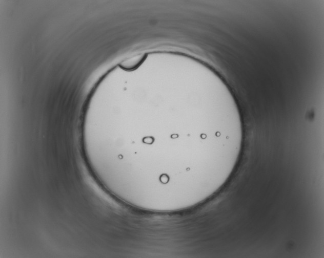 X0000116631518200912312149