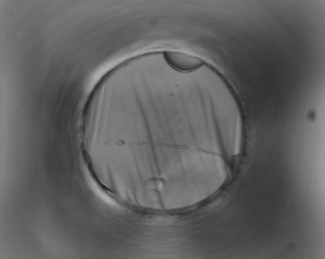 X0000116631519200912312149