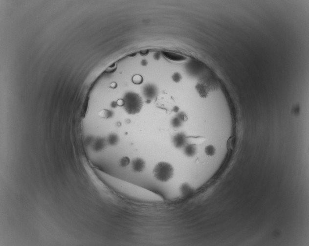 X0000116631521200912312149