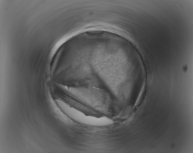 X0000116631522200912312149