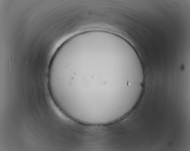 X0000116631523200912312149