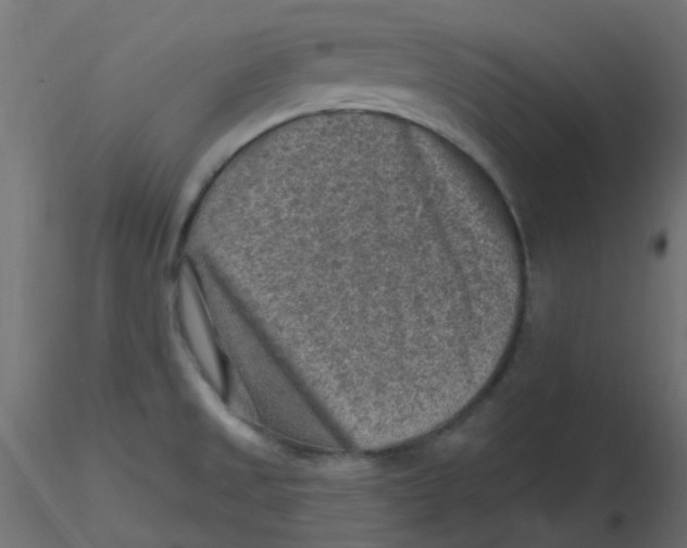 X0000116631525200912312149