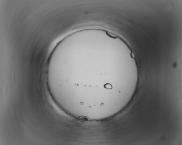 X0000116631526200912312149