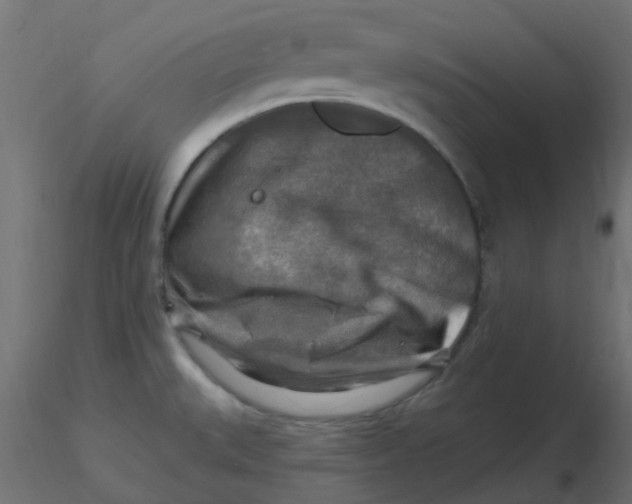 X0000116631527200912312149